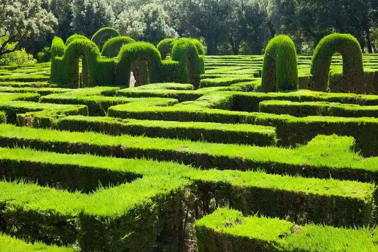 Maze Garden